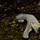 Illustration for article titled Cusp of Spring (Photo Heavy)